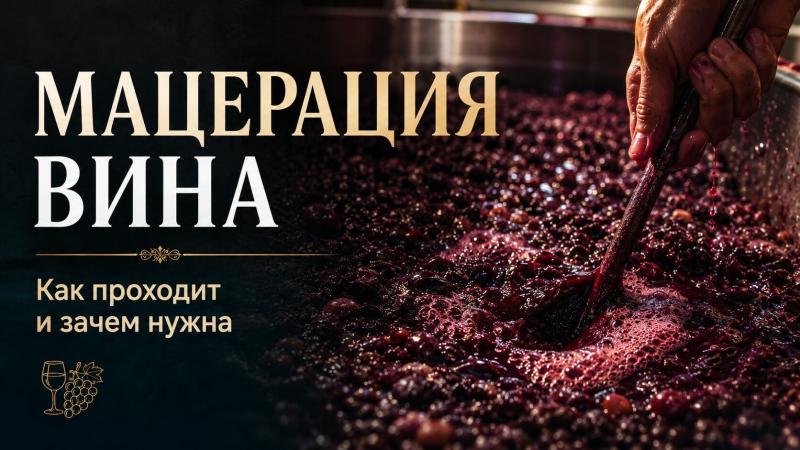 Мацерация вина: полное руководство