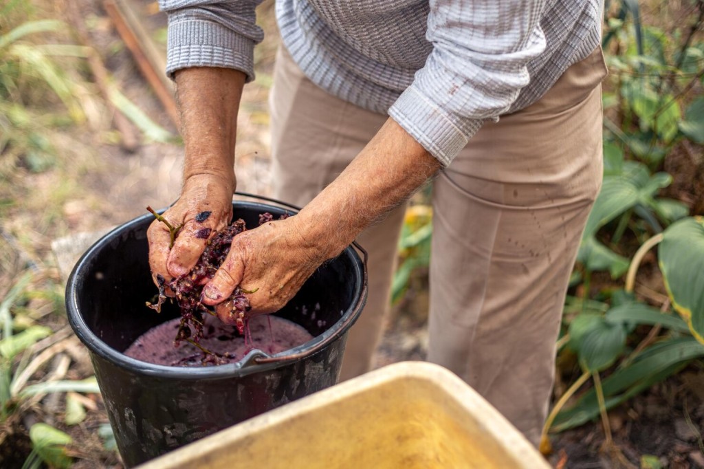 chto-takoe-kupazh-vina4.jpg Что такое купаж вина