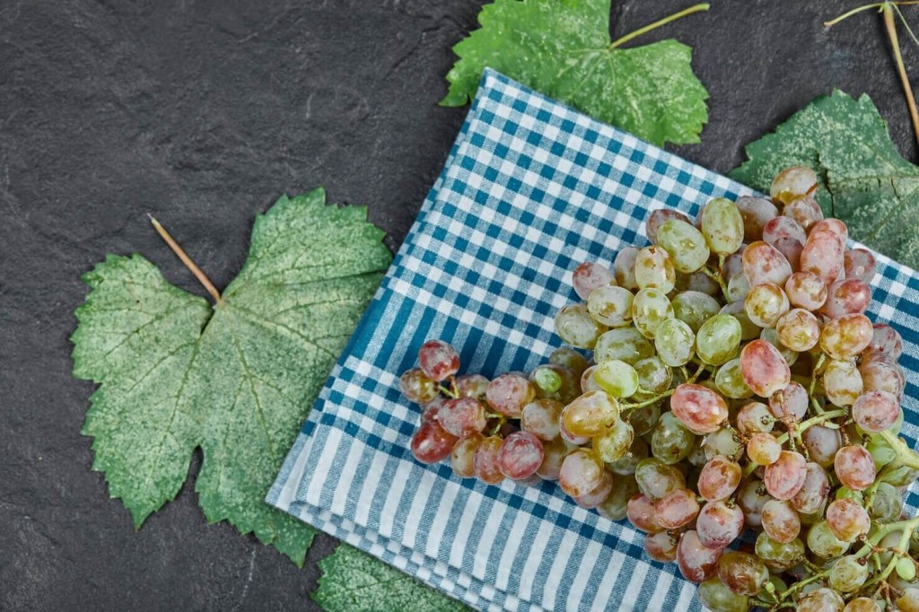 Производство вина