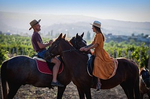 Конные прогулки по виноградникам "Золотой Балки" и Балаклавской долине
